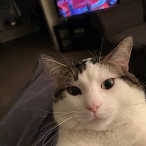 Meet your Posher, Sheila